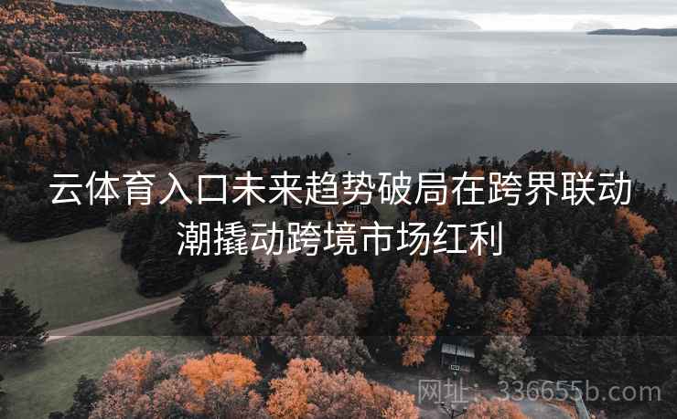 云体育入口未来趋势破局在跨界联动潮撬动跨境市场红利