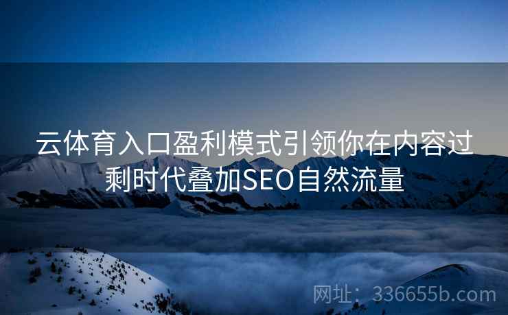云体育入口盈利模式引领你在内容过剩时代叠加SEO自然流量
