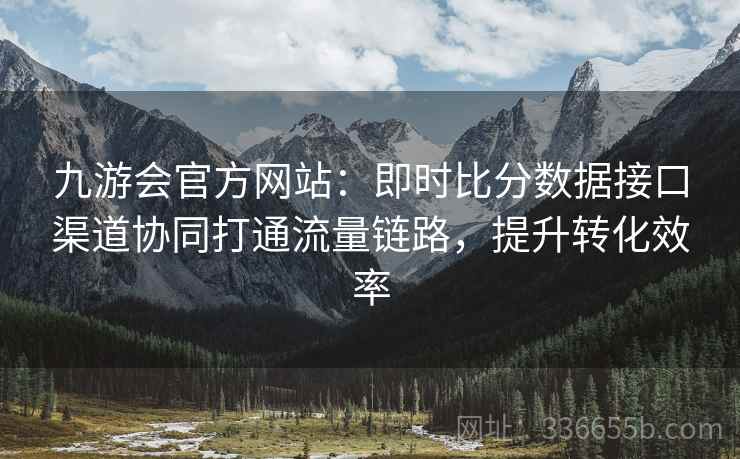 九游会官方网站：即时比分数据接口渠道协同打通流量链路，提升转化效率