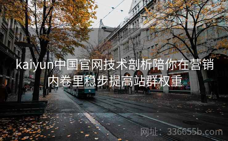 kaiyun中国官网技术剖析陪你在营销内卷里稳步提高站群权重