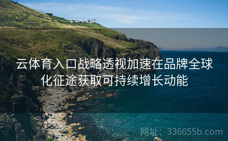 云体育入口战略透视加速在品牌全球化征途获取可持续增长动能