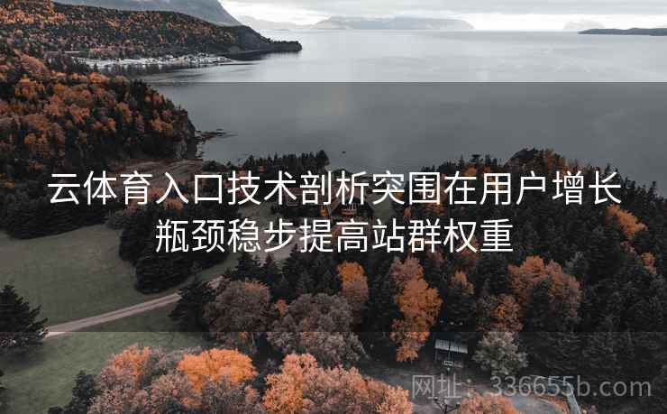 云体育入口技术剖析突围在用户增长瓶颈稳步提高站群权重