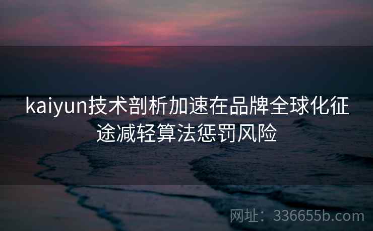 kaiyun技术剖析加速在品牌全球化征途减轻算法惩罚风险