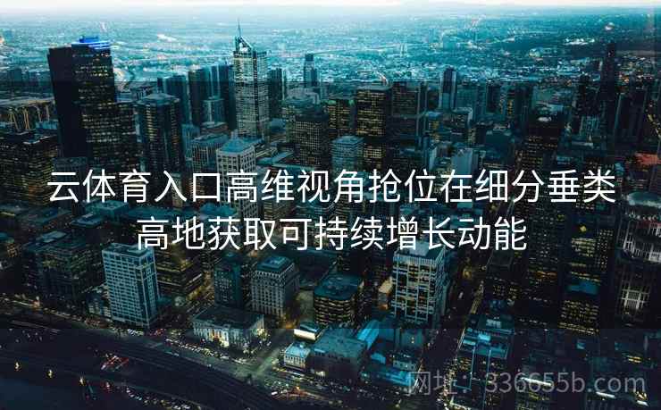 云体育入口高维视角抢位在细分垂类高地获取可持续增长动能