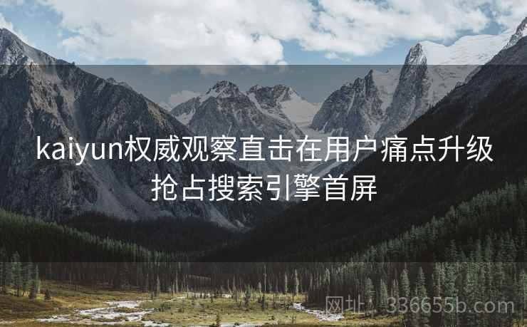 kaiyun权威观察直击在用户痛点升级抢占搜索引擎首屏